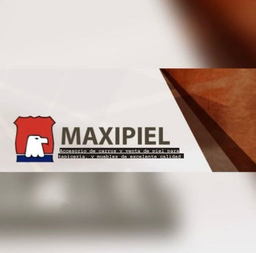 Fundas Asientos Piel Bmw - Juego Completo 1 Pieza - maxipiel