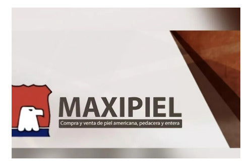 Kit Completo Funda Para Asientos Universal Delanteros 4 Pz - maxipiel