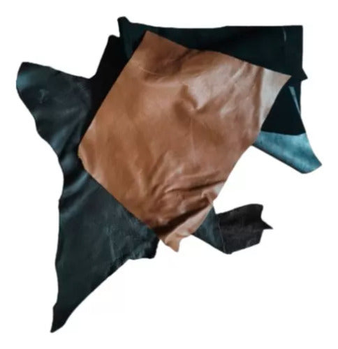 5 Kg Pedacera Grande De Piel, Variedad De Colores, Dif. Usos - maxipiel