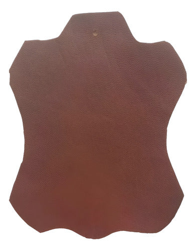 Piel Curtida 100% Genuina Para Chamarras, Ropa, Bolsas. Etc. - maxipiel