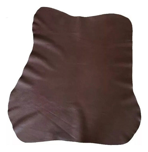 Piel Curtida 100% Genuina Para Chamarras, Ropa, Bolsas. Etc. - maxipiel