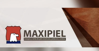 Aveo 2022 Fundas De Piel Original Nueva Generación - maxipiel