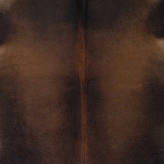 Brazil Hair-On Hide - Palomino